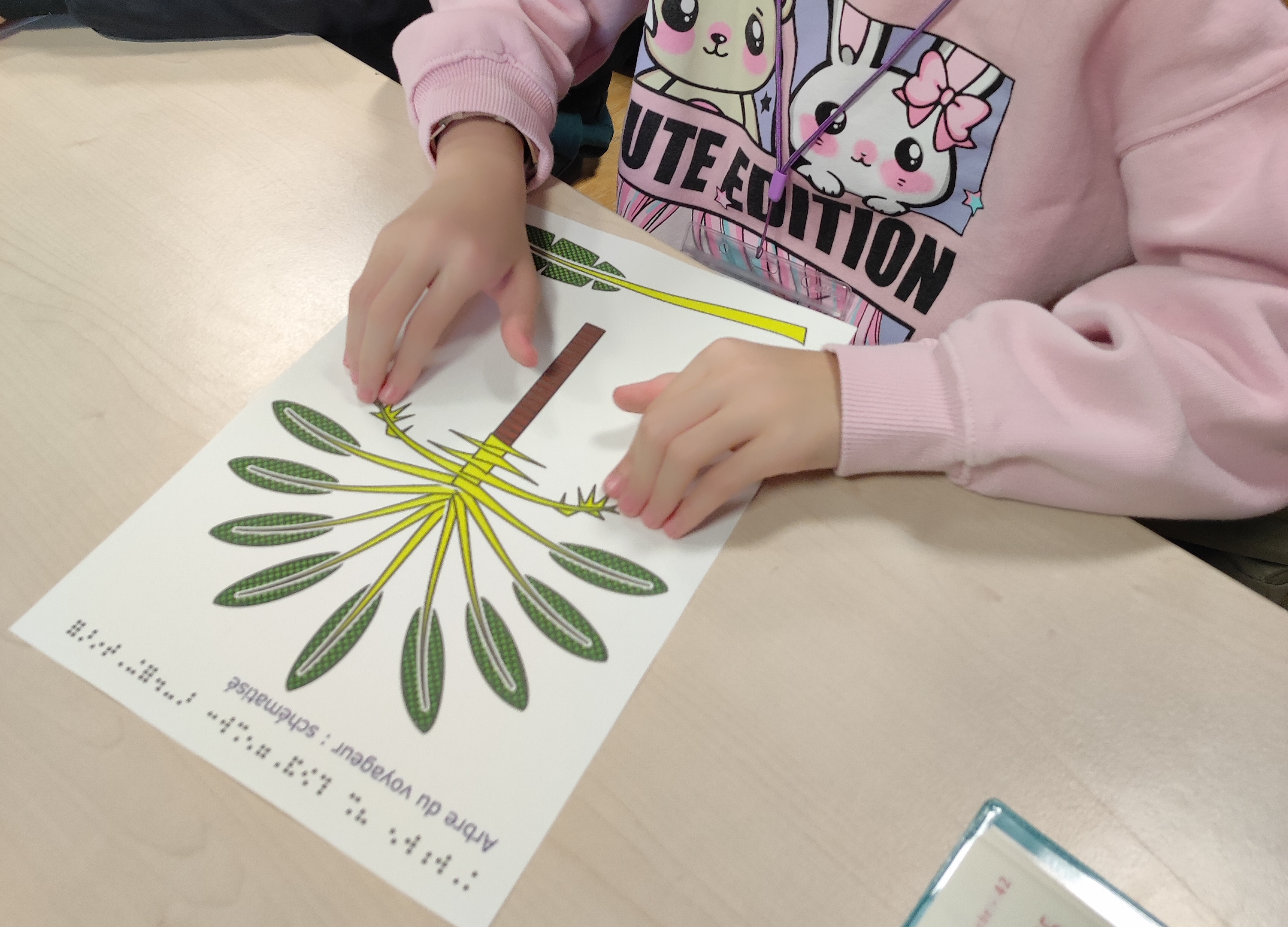 Une petite fille touche l'image de l'arbre du voyageur en relief.