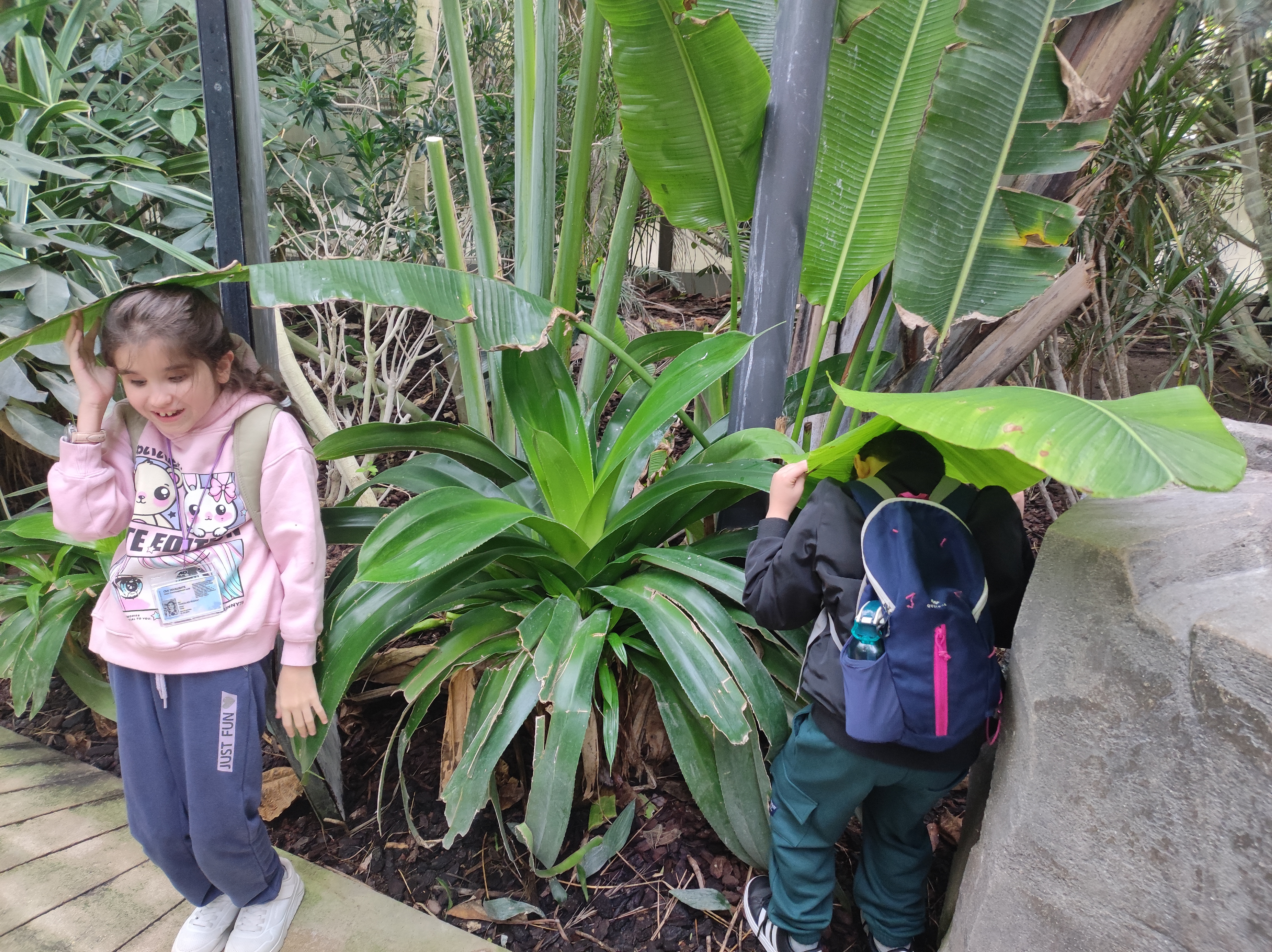 Deux enfants explorent l'arbre du voyageur sous la serre