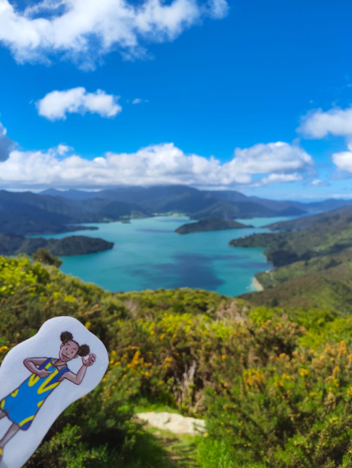 Turquoise en Nouvelle-Zélande