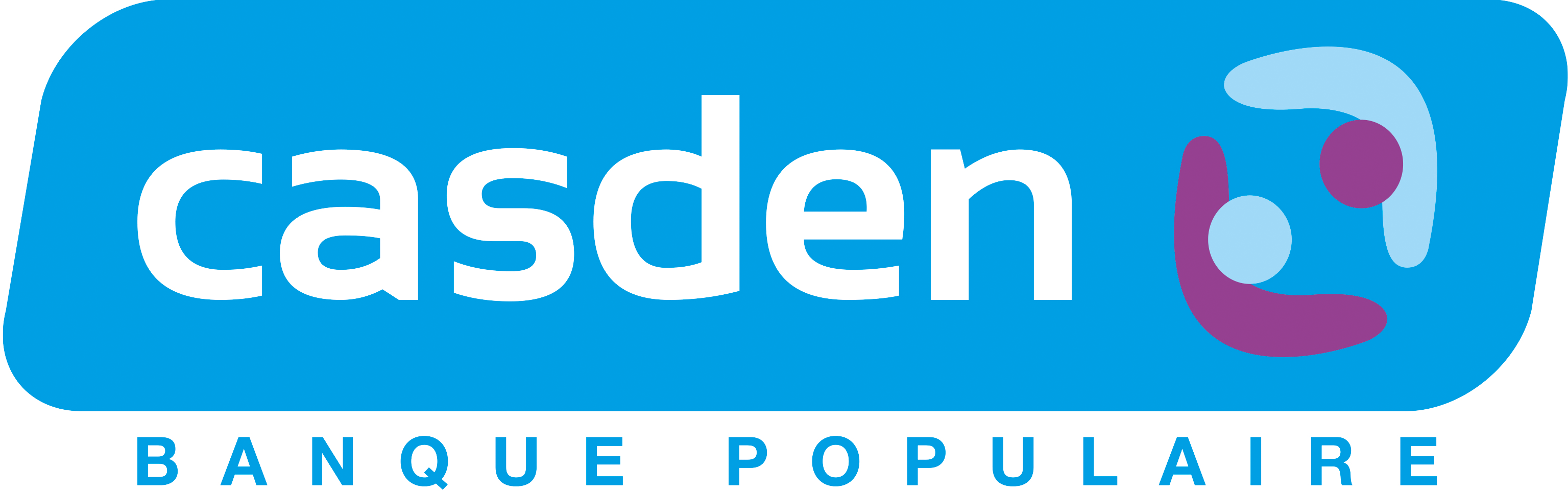 CASDEN Logo