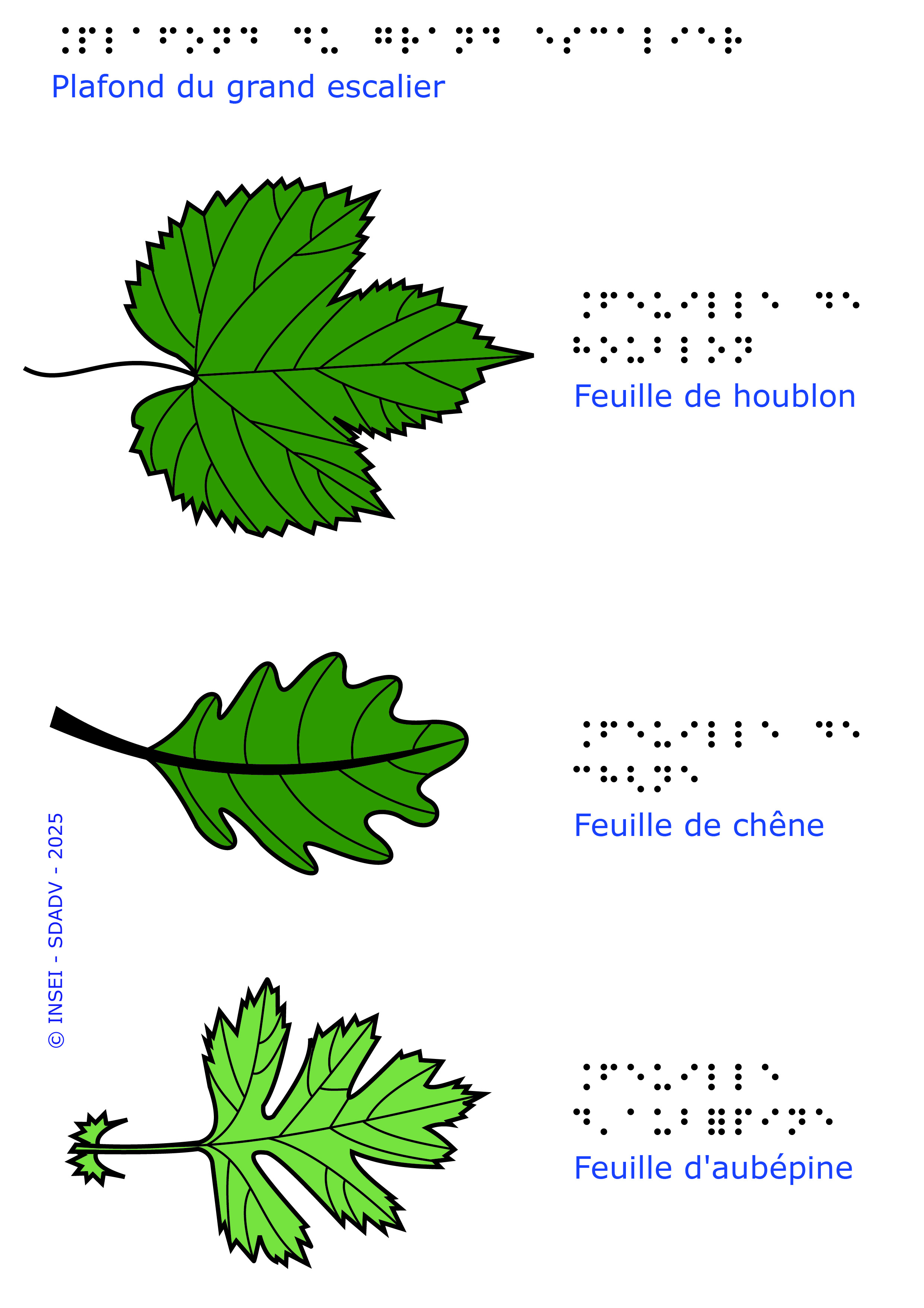 Végétaux de Jean Sans Peur