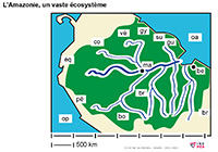 Imagette du document