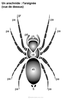 Imagette du document