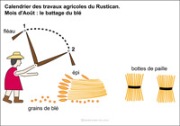 Imagette du document