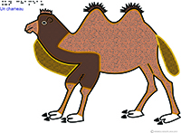 Imagette du document