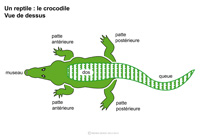 Imagette du document