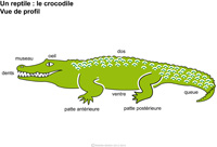 Imagette du document