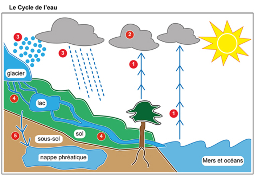 Imagette du document