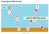 Imagette du document