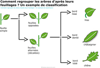 Imagette du document