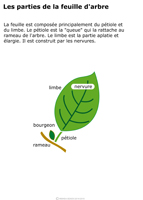 Imagette du document