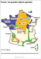 Imagette du document