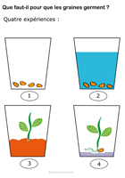 Imagette du document