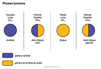 Imagette du document