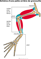Imagette du document