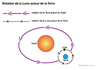 Imagette du document