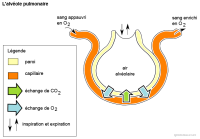 Imagette du document