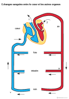 Imagette du document