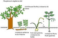 Imagette du document