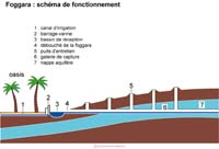 Imagette du document