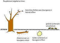 Imagette du document