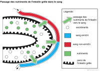 Imagette du document