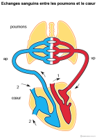 Imagette du document