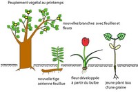 Imagette du document